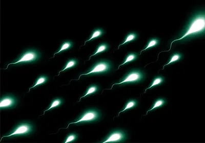 Mehr Sperma: Potenz steigern und viel Sperma abspritzen